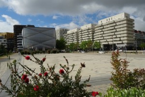 7 Montpellier (11)